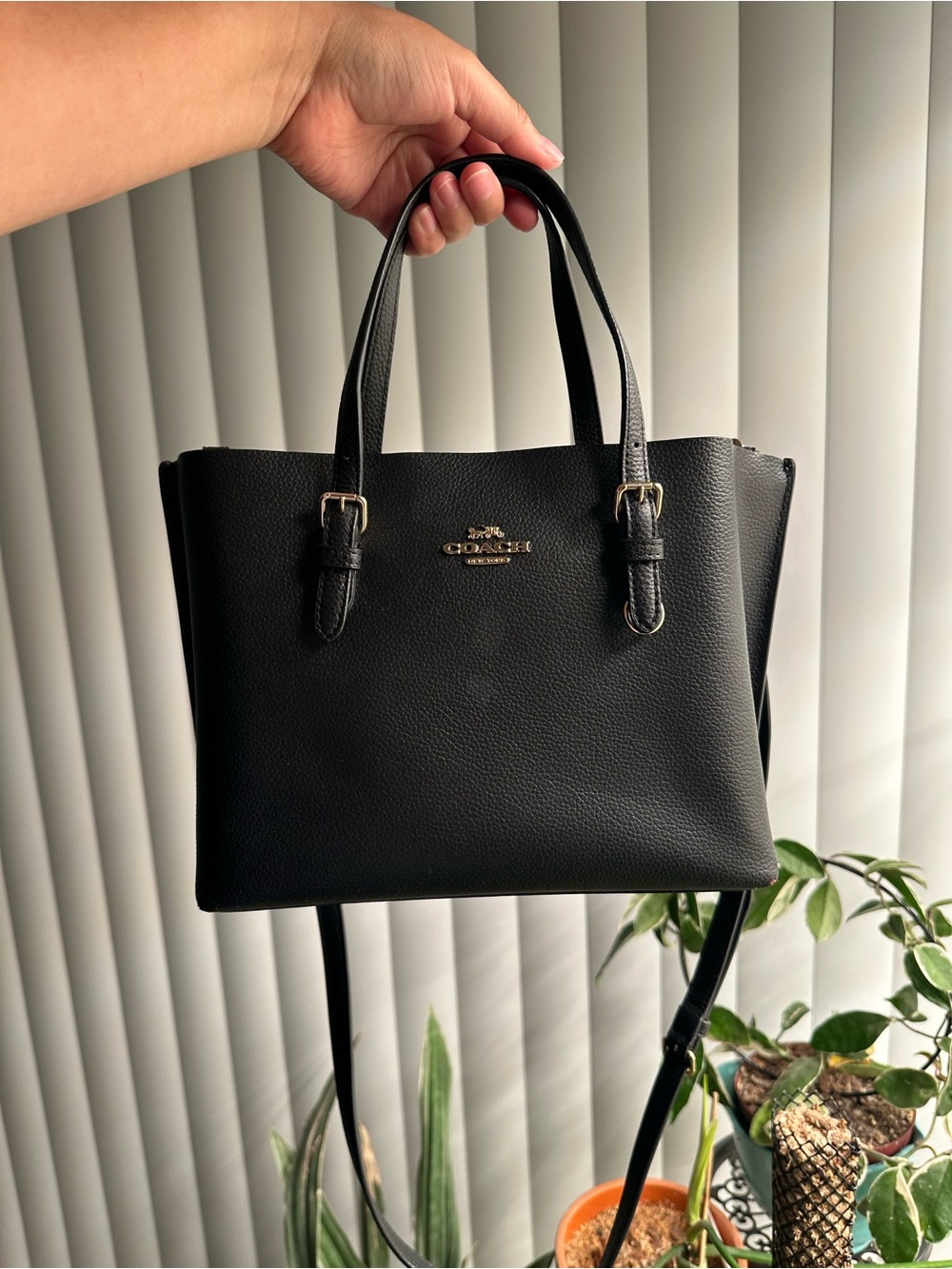 Coach Mollie Tote 25